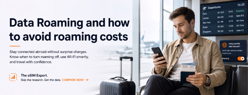 data roaming