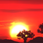 angola roaming