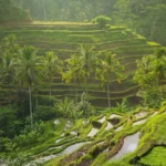 Bali Ubud Travel Guide