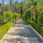 things to do in seville