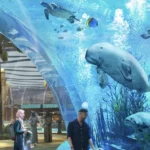 World's Largest Aquarium seaworld