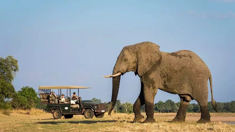africa tour
