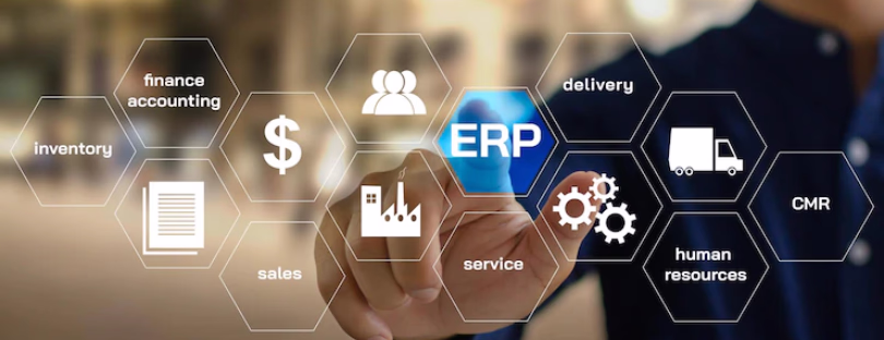 Enterprise Resource Planning (ERP)