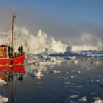 greenland tussas abroad