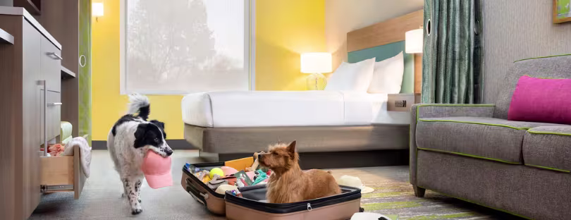 Hilton pet friendly hotels