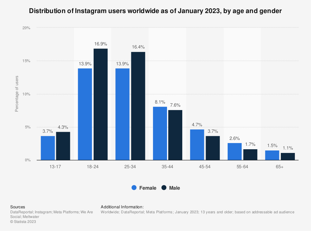 instagram audience