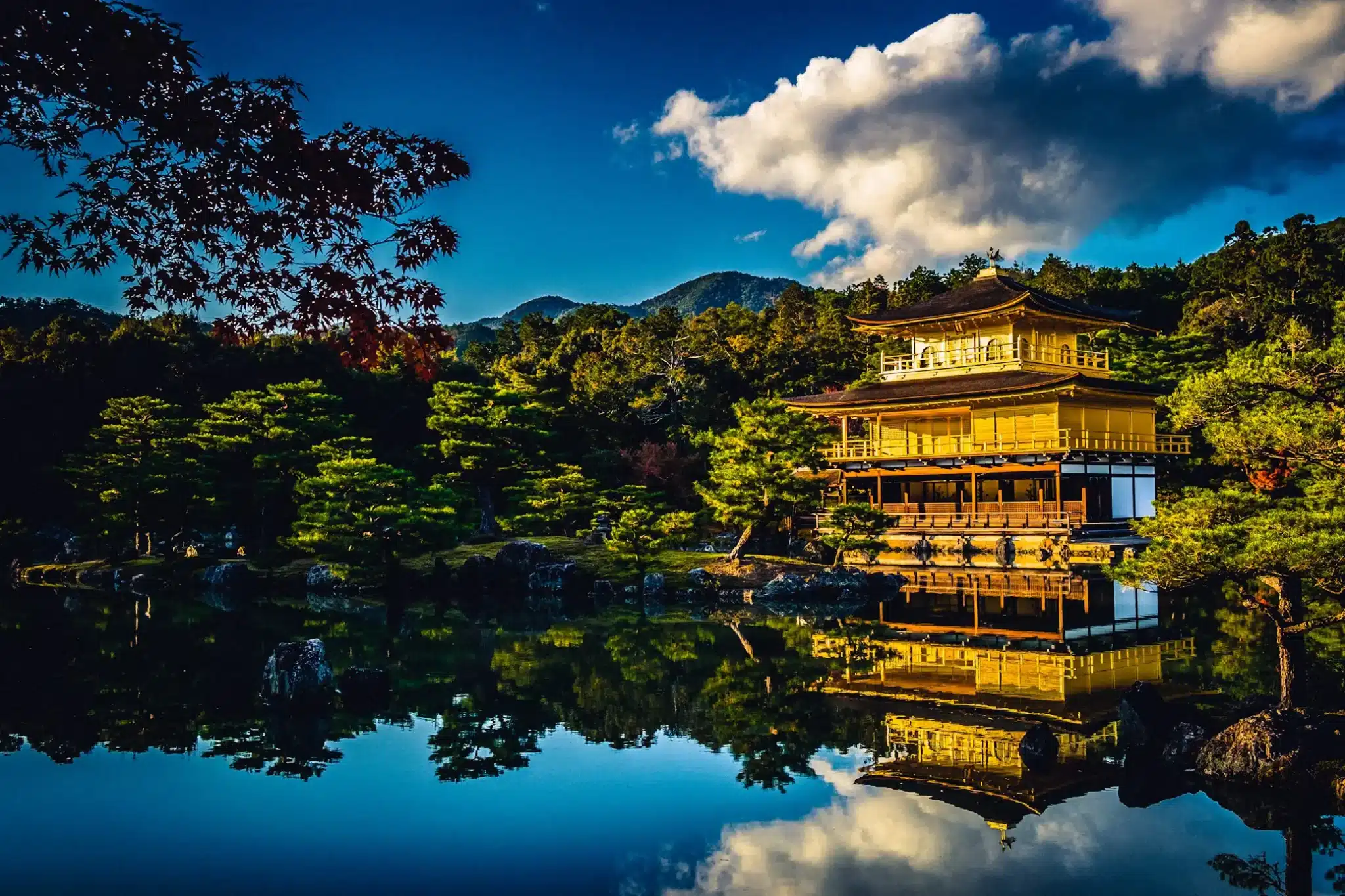 things to do in Kyoto