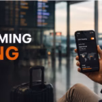data roaming meaning