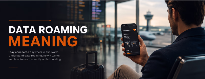 data roaming meaning