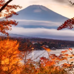 japan sim card