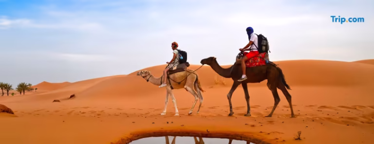 Experience as the New Destination: How Trip.com Is Shaping the Future of Travel