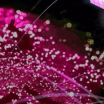 Deutsche Telekom IRIS²
