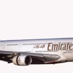 Emirates power bank ban