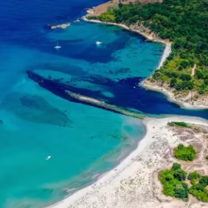 EU Albania roaming fees 2026