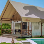 T-Rex Glamping Dubai