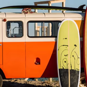 Plus launches new roaming packages for Europe, Turkey, USA, and beyond — with VPN protection and device repair included.