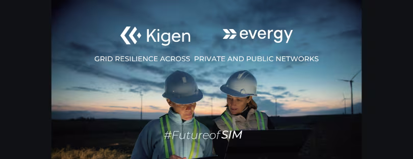 utility eSIM connectivity