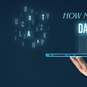 yesim data calculator