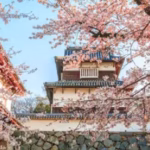 Golden Route West Japan Airalo eSIM