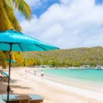 BTS Caribbean managed voice services