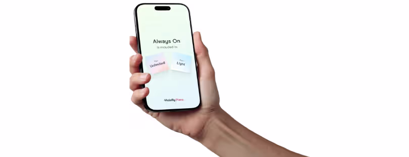 Holafly business eSIM