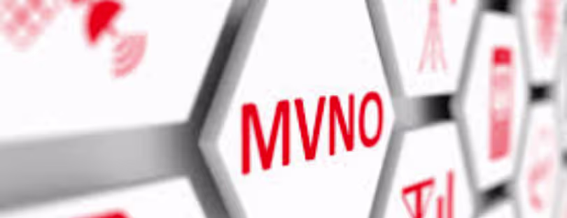 fintech MVNO