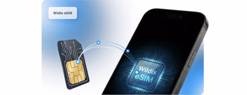 enterprise eSIM for business communications wildix
