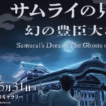 Osaka Castle VR experience