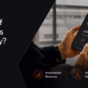 connectivity monetization for travel platforms