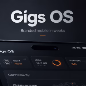 mno embedded connectivity GIGS