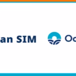 Japan travel eSIM tax refund