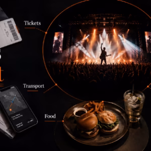 concert trip budget